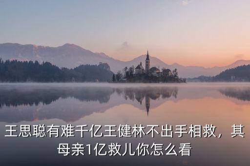 王思聰有難千億王健林不出手相救，其母親1億救兒你怎么看