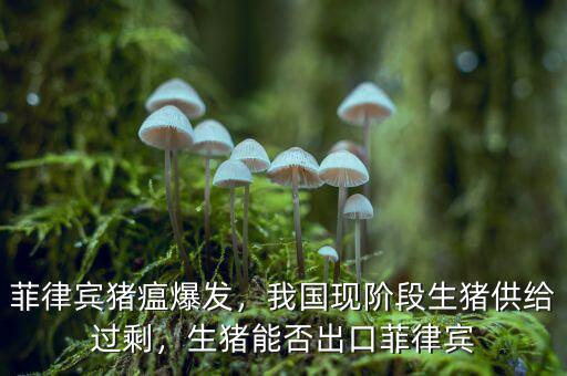 菲律賓豬瘟爆發(fā)，我國(guó)現(xiàn)階段生豬供給過(guò)剩，生豬能否出口菲律賓