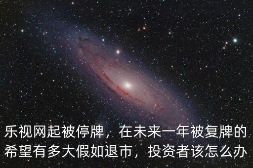 樂視網(wǎng)起被停牌，在未來一年被復(fù)牌的希望有多大假如退市，投資者該怎么辦
