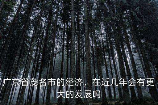 廣東省茂名市的經(jīng)濟，在近幾年會有更大的發(fā)展嗎