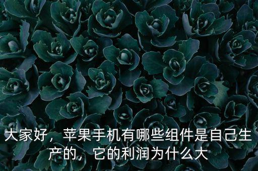 大家好，蘋果手機有哪些組件是自己生產的，它的利潤為什么大