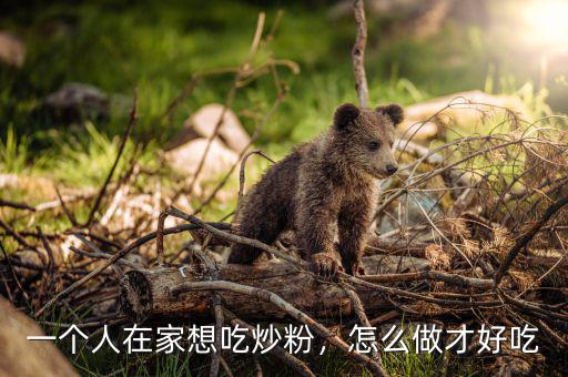一個(gè)人在家想吃炒粉，怎么做才好吃