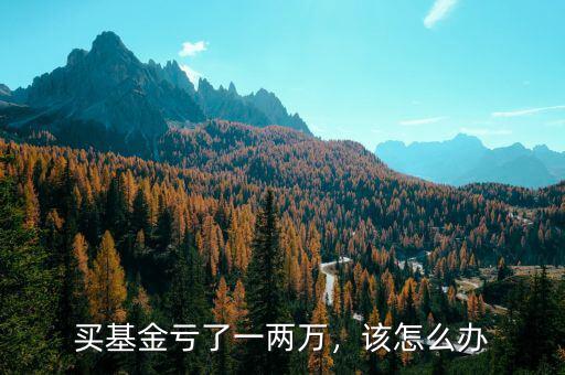 買(mǎi)基金虧了一兩萬(wàn)，該怎么辦