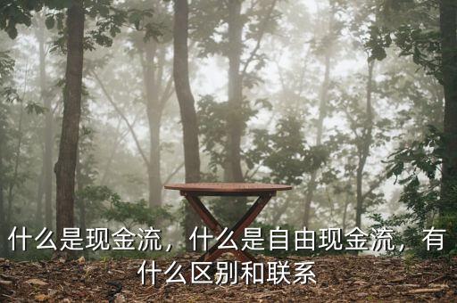 什么是現(xiàn)金流，什么是自由現(xiàn)金流，有什么區(qū)別和聯(lián)系