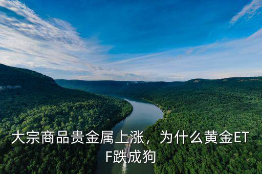 大宗商品貴金屬上漲，為什么黃金ETF跌成狗
