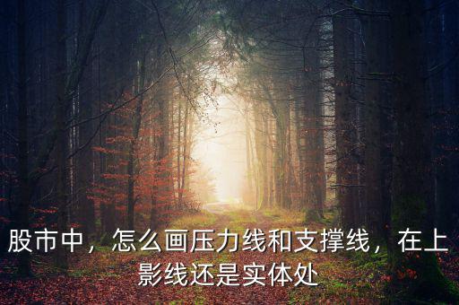 股市中，怎么畫壓力線和支撐線，在上影線還是實體處