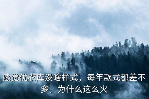 感覺(jué)優(yōu)衣庫(kù)沒(méi)啥樣式，每年款式都差不多，為什么這么火