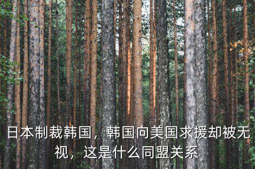 日本制裁韓國，韓國向美國求援卻被無視，這是什么同盟關系