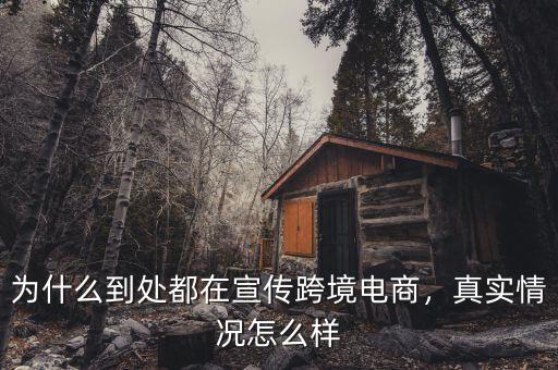 為什么到處都在宣傳跨境電商，真實情況怎么樣