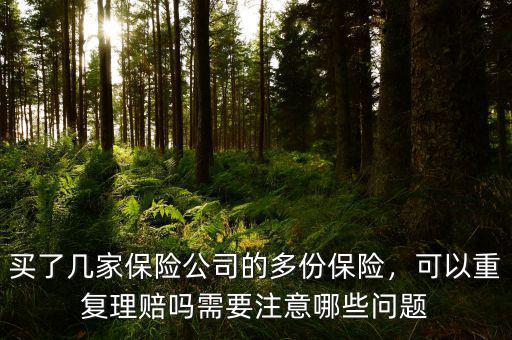 買了幾家保險(xiǎn)公司的多份保險(xiǎn)，可以重復(fù)理賠嗎需要注意哪些問題