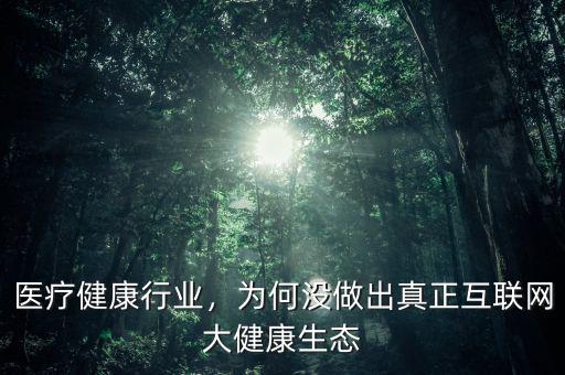 醫(yī)療健康行業(yè)，為何沒做出真正互聯(lián)網(wǎng)大健康生態(tài)