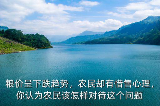 糧價呈下跌趨勢，農(nóng)民卻有惜售心理，你認(rèn)為農(nóng)民該怎樣對待這個問題