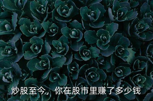 炒股至今，你在股市里賺了多少錢
