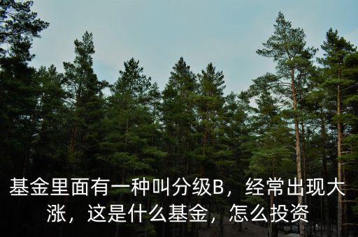 基金里面有一種叫分級(jí)B，經(jīng)常出現(xiàn)大漲，這是什么基金，怎么投資