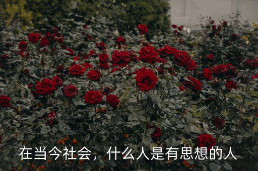 在當(dāng)今社會(huì)，什么人是有思想的人