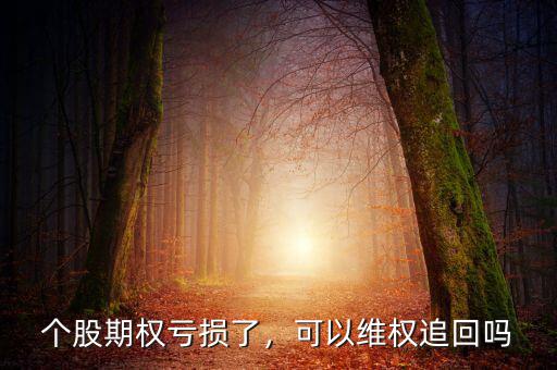 個(gè)股期權(quán)怎么樣,如何識別個(gè)股期權(quán)騙局