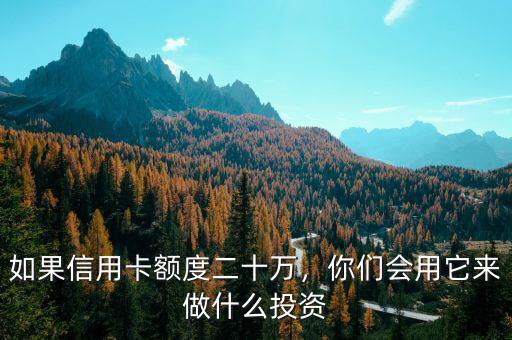 如果信用卡額度二十萬，你們會用它來做什么投資