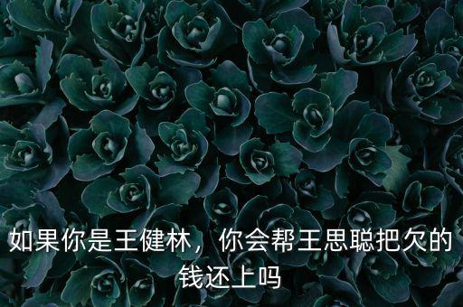 如果你是王健林，你會幫王思聰把欠的錢還上嗎
