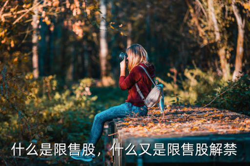 什么是限售股，什么又是限售股解禁