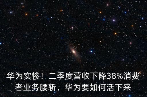 華為實(shí)慘！二季度營(yíng)收下降38%消費(fèi)者業(yè)務(wù)腰斬，華為要如何活下來(lái)