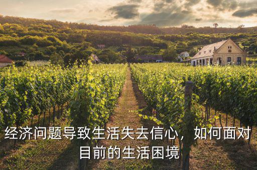經濟問題導致生活失去信心，如何面對目前的生活困境