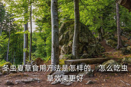 冬蟲(chóng)夏草怎么加工,冬蟲(chóng)夏草怎么吃最好呢