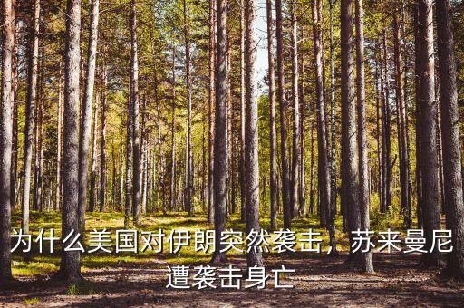 為什么美國(guó)對(duì)伊朗突然襲擊，蘇來(lái)曼尼遭襲擊身亡