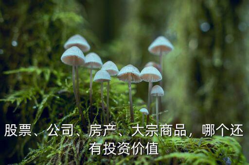 股票、公司、房產(chǎn)、大宗商品，哪個(gè)還有投資價(jià)值
