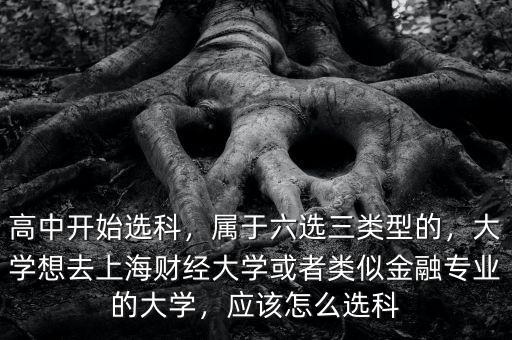 高中開始選科，屬于六選三類型的，大學(xué)想去上海財經(jīng)大學(xué)或者類似金融專業(yè)的大學(xué)，應(yīng)該怎么選科