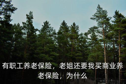 有職工養(yǎng)老保險(xiǎn)，老姐還要我買商業(yè)養(yǎng)老保險(xiǎn)，為什么