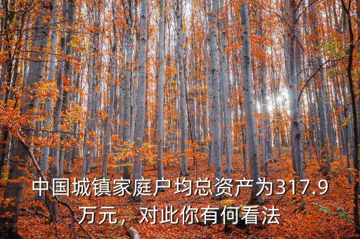 中國城鎮(zhèn)家庭戶均總資產(chǎn)為317.9萬元，對此你有何看法