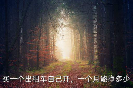 買一個(gè)出租車自己開，一個(gè)月能掙多少