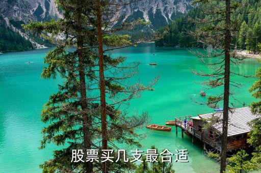 散戶買(mǎi)什么股票,股票買(mǎi)幾支最合適