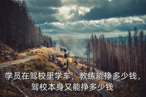 學(xué)員在駕校里學(xué)車，教練能掙多少錢，駕校本身又能掙多少錢