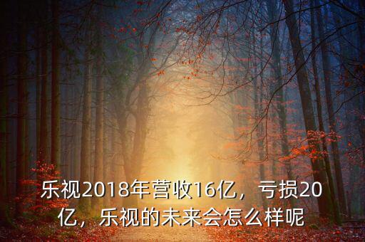 樂視2018年營收16億，虧損20億，樂視的未來會怎么樣呢