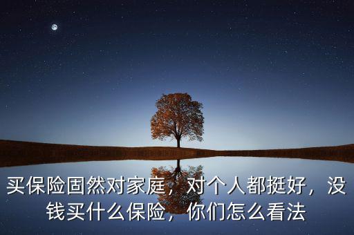 買保險(xiǎn)固然對(duì)家庭，對(duì)個(gè)人都挺好，沒錢買什么保險(xiǎn)，你們?cè)趺纯捶? class=