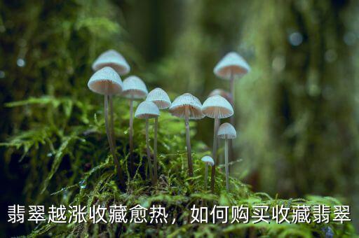翡翠越漲收藏愈熱，如何購買收藏翡翠
