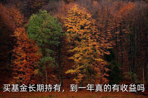 買基金長期持有，到一年真的有收益嗎