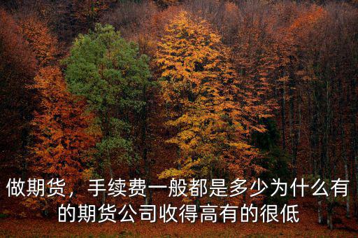 做期貨，手續(xù)費(fèi)一般都是多少為什么有的期貨公司收得高有的很低