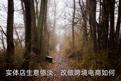 實(shí)體店生意慘淡，改做跨境電商如何