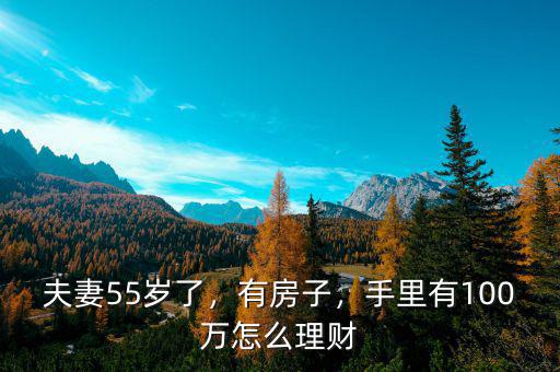 夫妻55歲了，有房子，手里有100萬(wàn)怎么理財(cái)