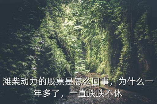 濰柴動(dòng)力的股票是怎么回事，為什么一年多了，一直跌跌不休