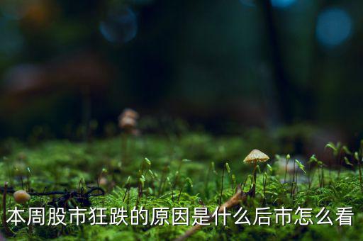 股市領頭羊的后市是什么,后市怎么操作