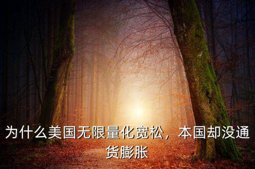 為什么美國無限量化寬松，本國卻沒通貨膨脹