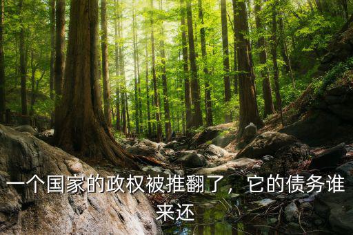 一個國家的政權(quán)被推翻了，它的債務(wù)誰來還