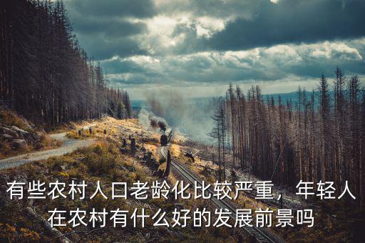 有些農村人口老齡化比較嚴重，年輕人在農村有什么好的發(fā)展前景嗎