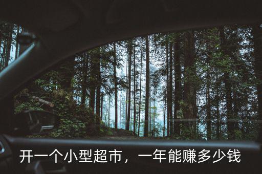 開一個小型超市，一年能賺多少錢