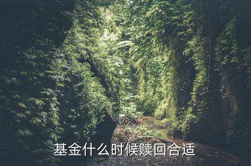 基金什么時(shí)候賣(mài)出好,貨幣基金什么時(shí)候賣(mài)出比較好