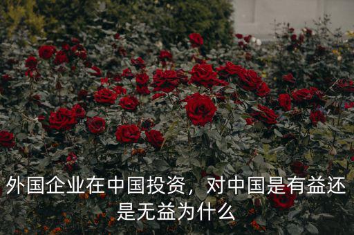 外國企業(yè)在中國投資，對中國是有益還是無益為什么
