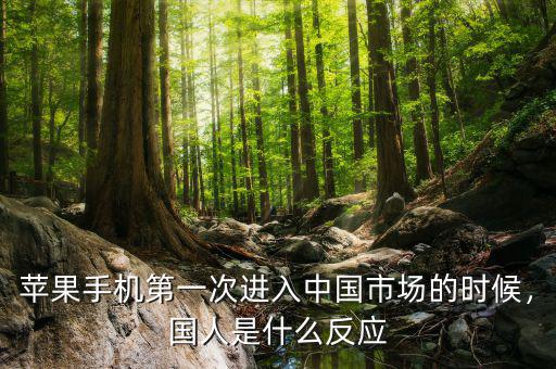 蘋果手機(jī)第一次進(jìn)入中國(guó)市場(chǎng)的時(shí)候，國(guó)人是什么反應(yīng)